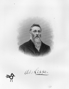 Adolph Lippe